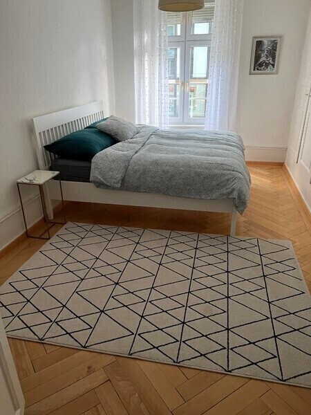 3 rooms furnished flat, photo 6 sur 10