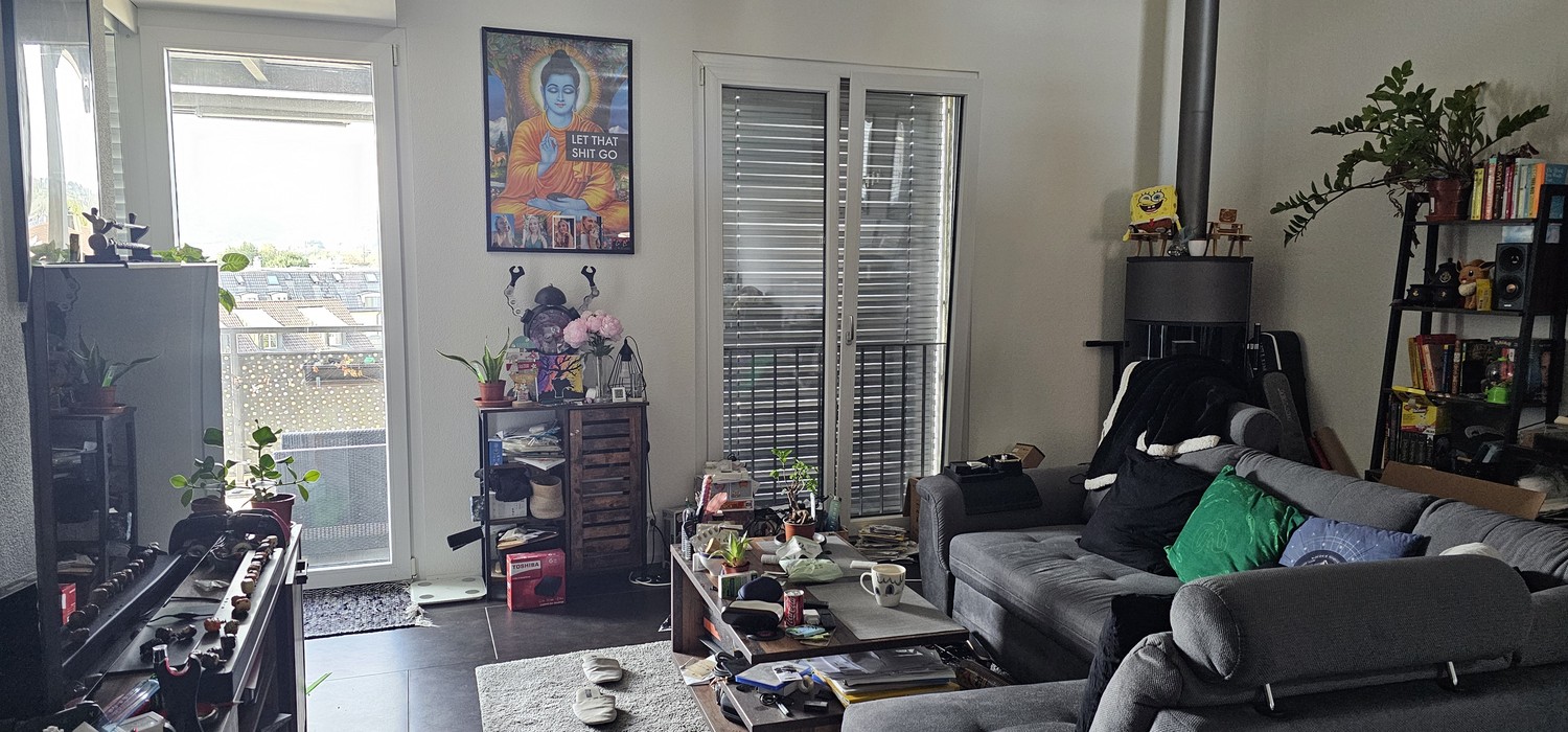 Appartement de 3 ½ pièces, photo 2 sur 9