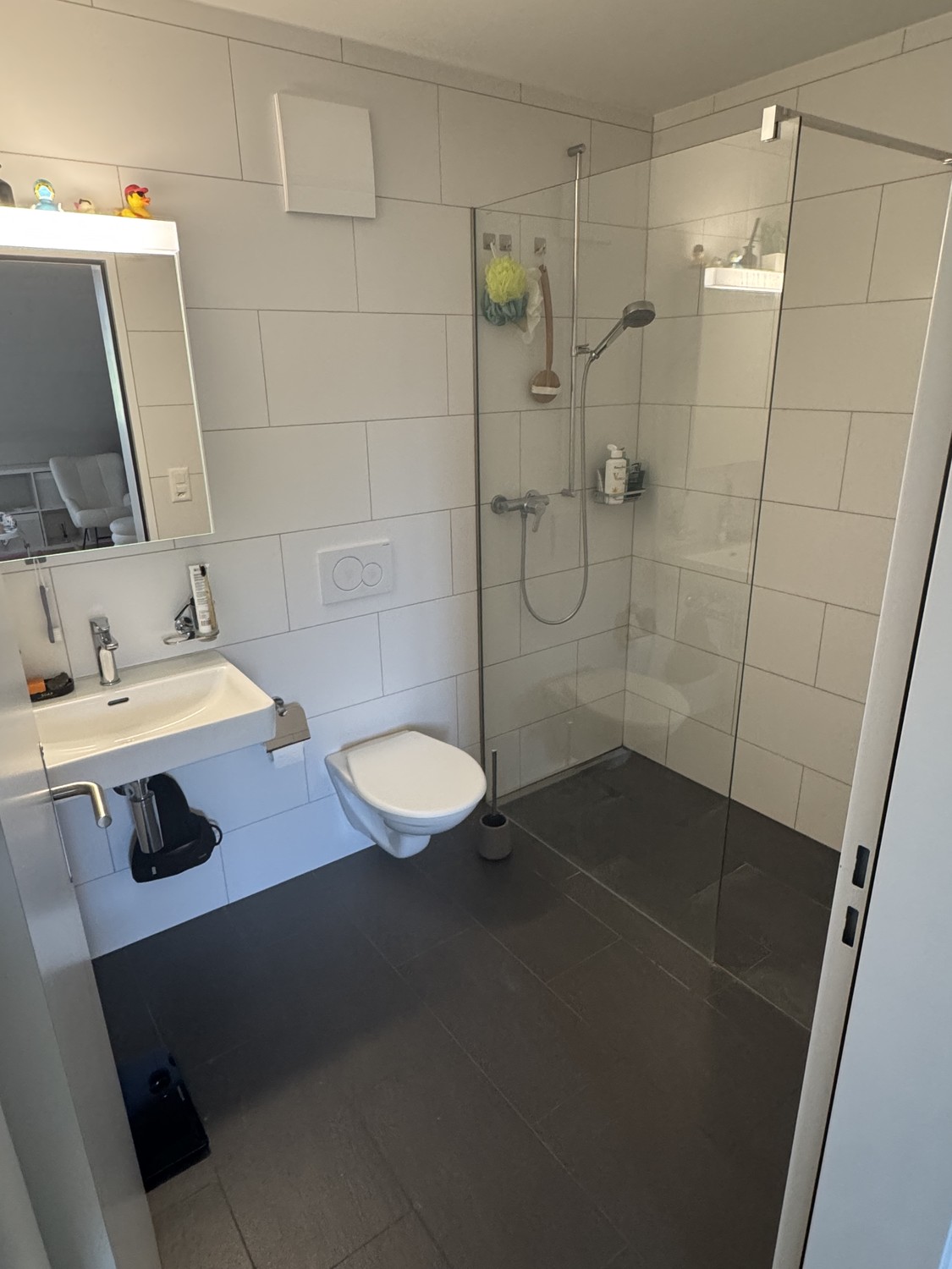 Appartement de 3 ½ pièces
