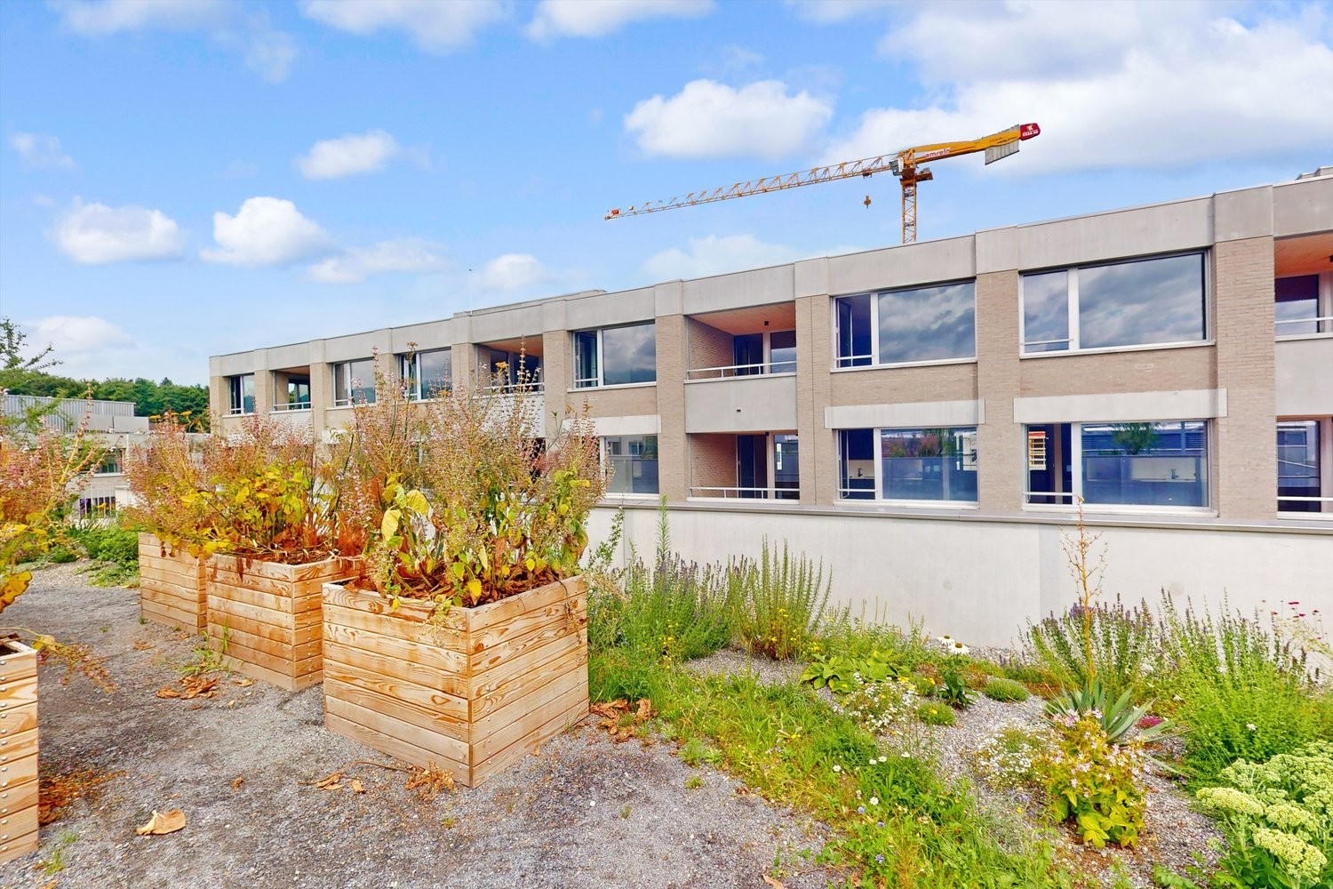 Appartement de 2 ½ pièces