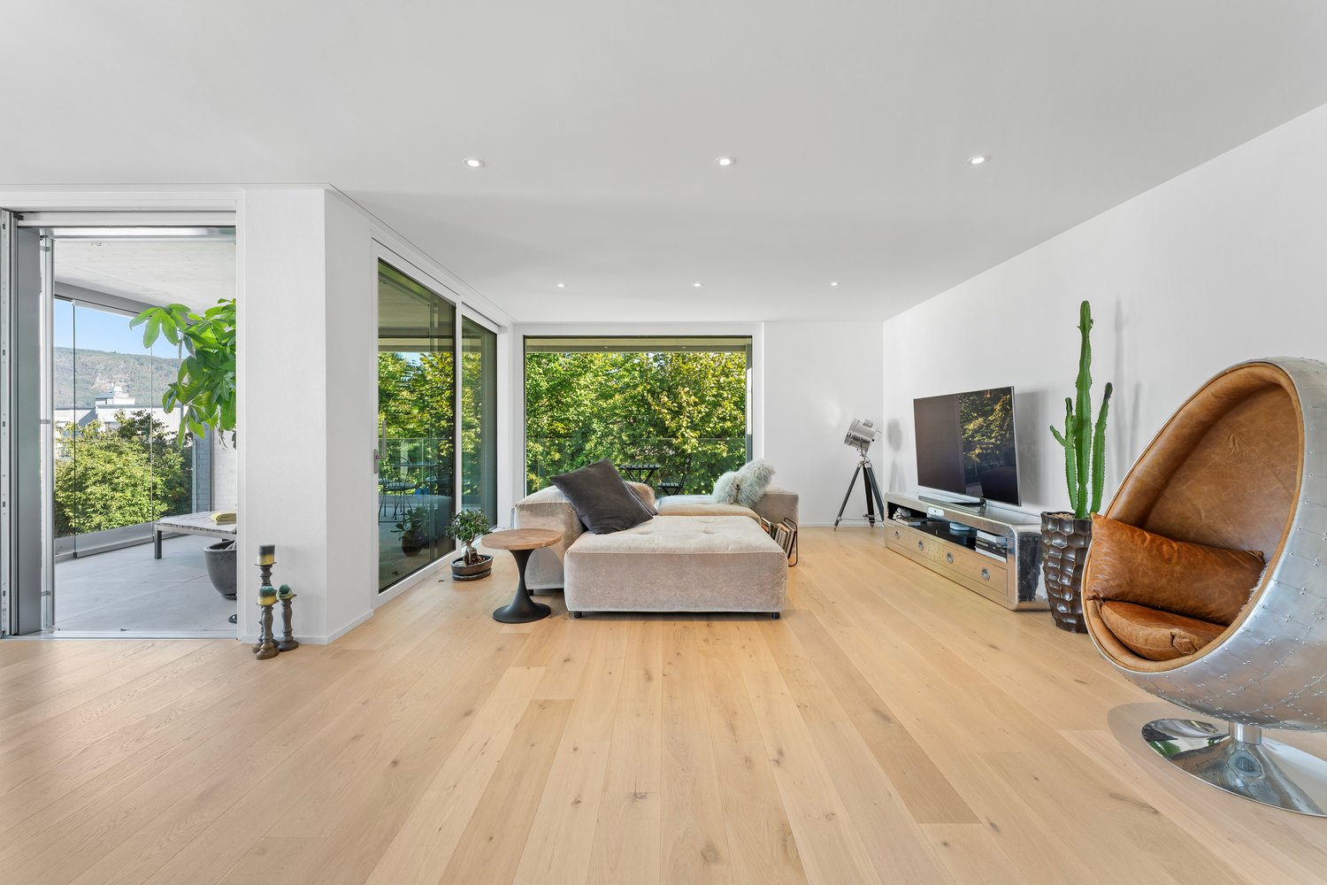 Appartement de 5 ½ pièces
