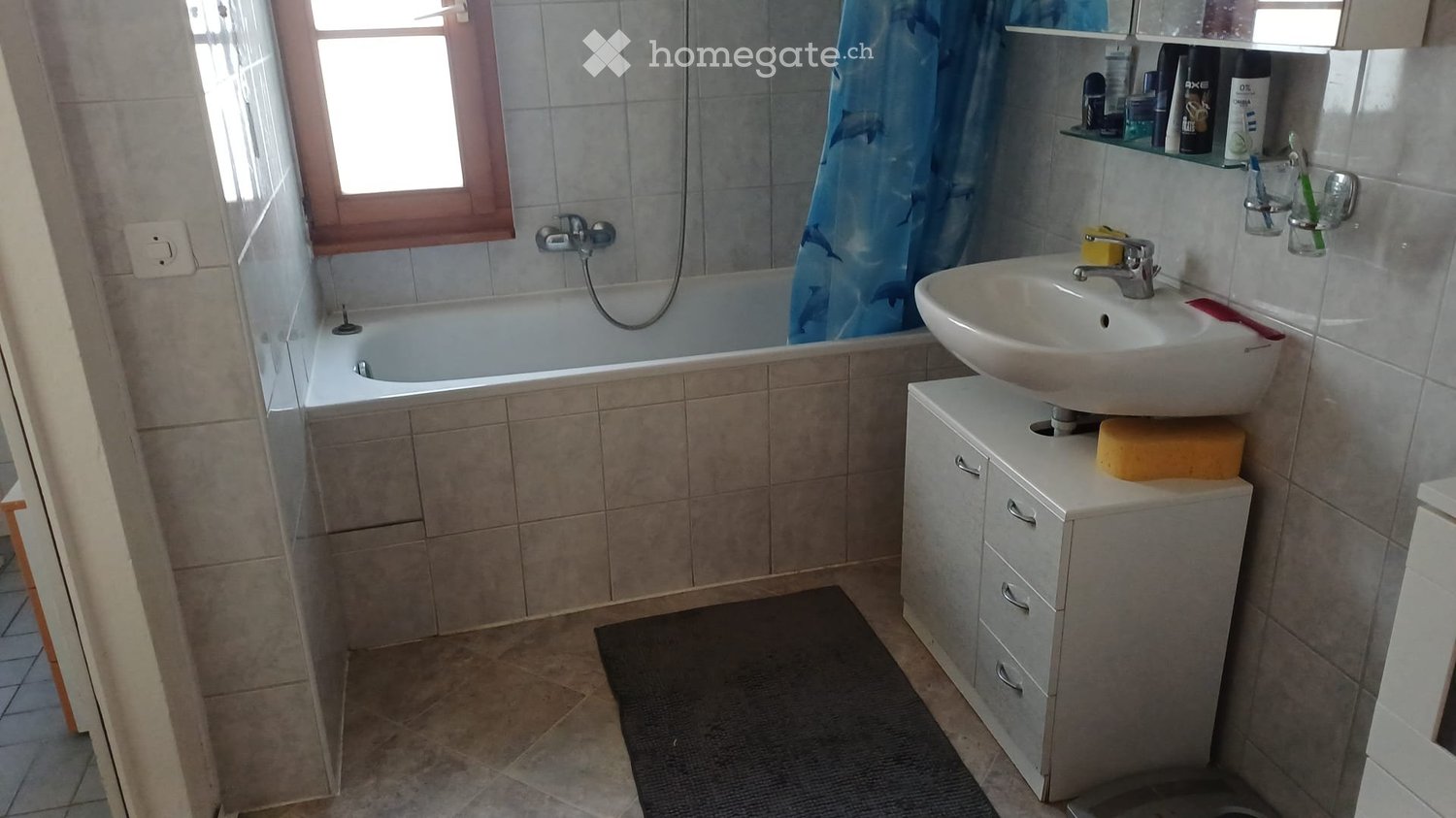 1 room apartment, photo 5 sur 5
