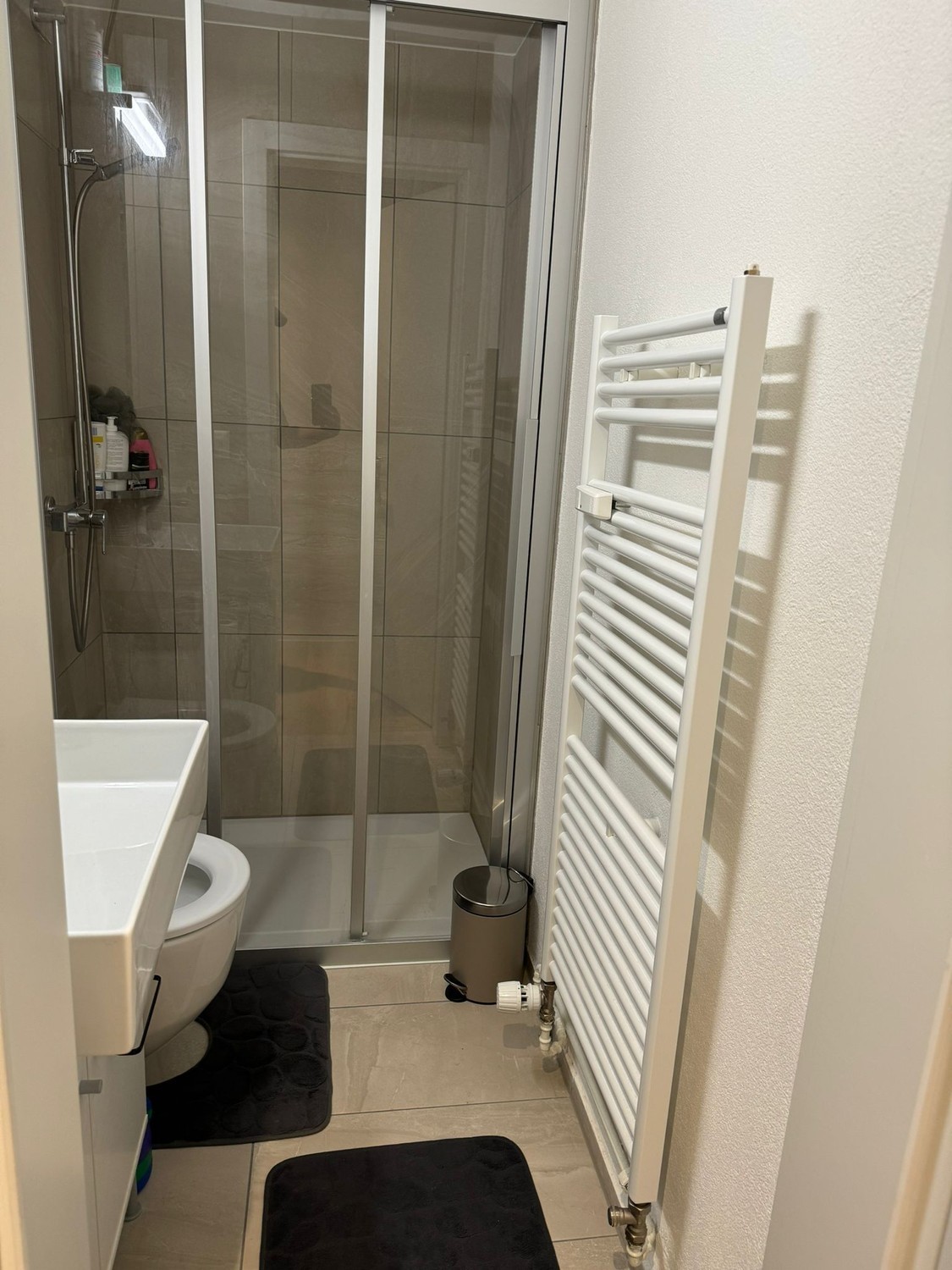 Appartement de 1 ½ pièces, photo 2 sur 5