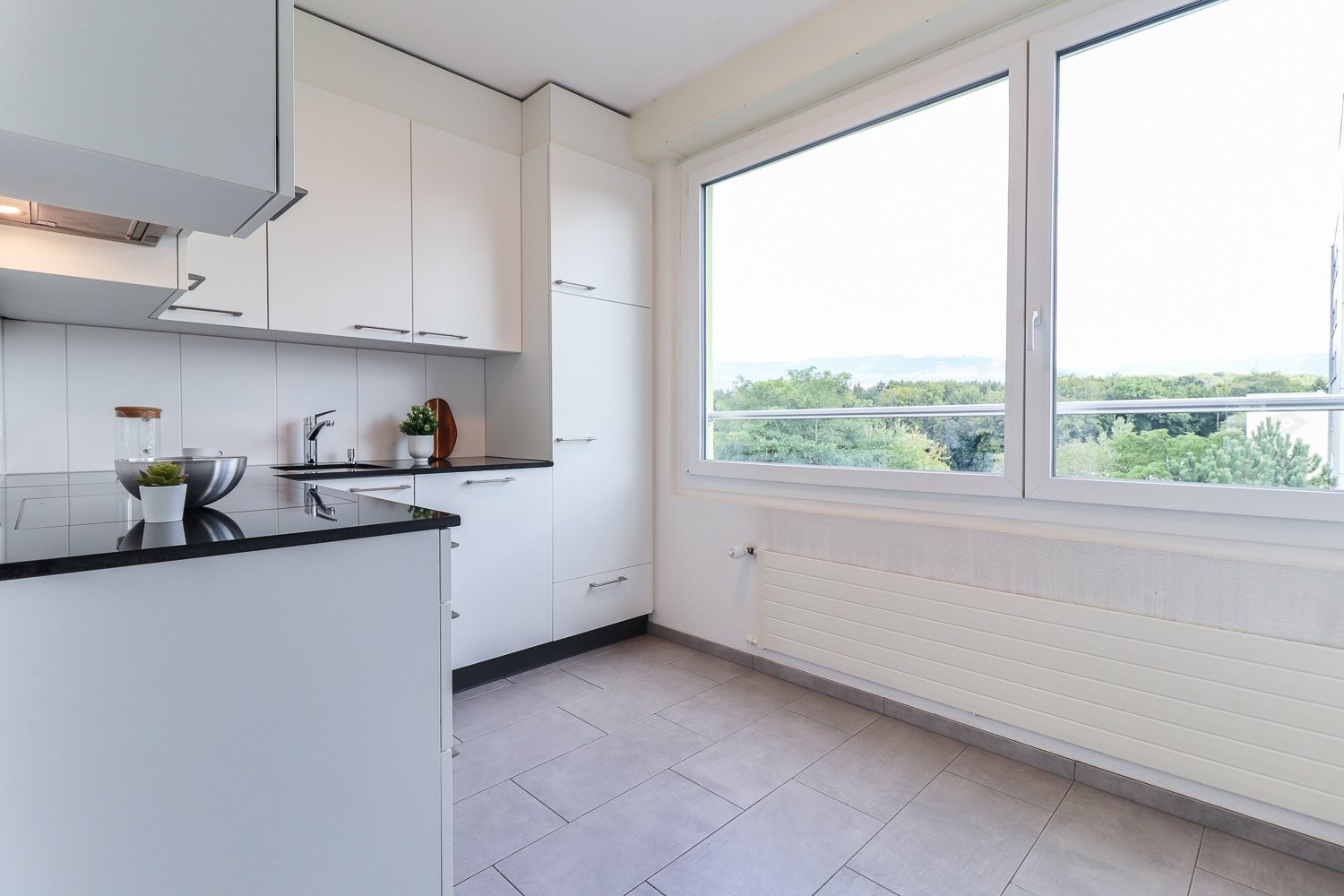 Appartement de 3 ½ pièces