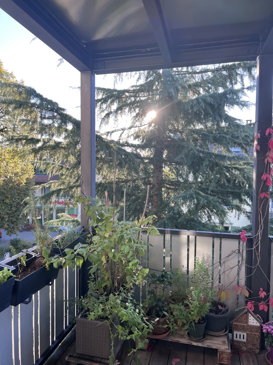 Appartement de 4 ½ pièces
