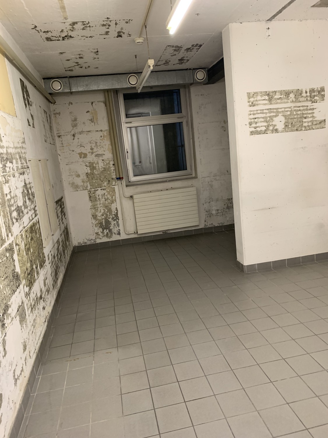 23m² cellar compartment