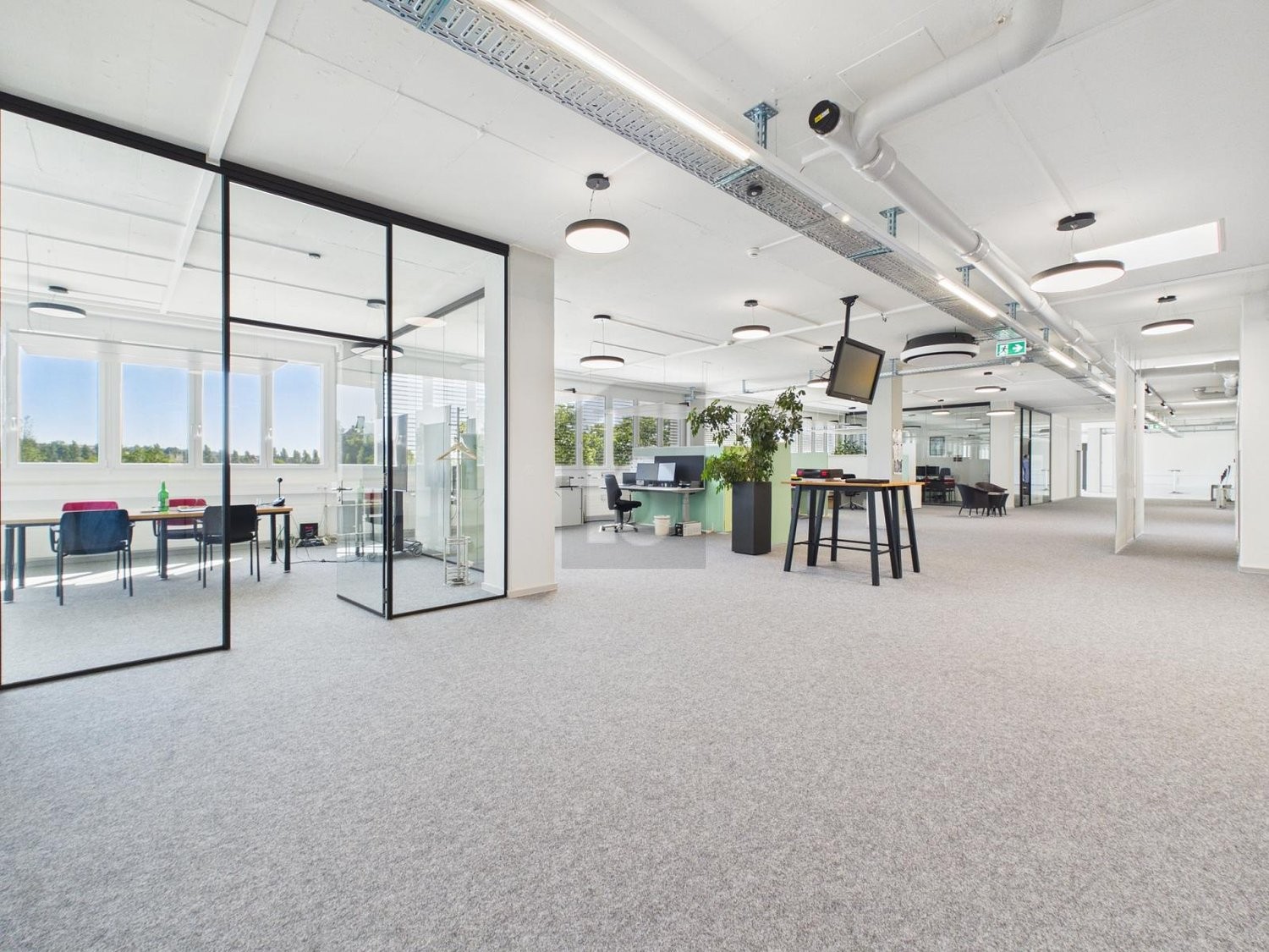 950m² de bureaux