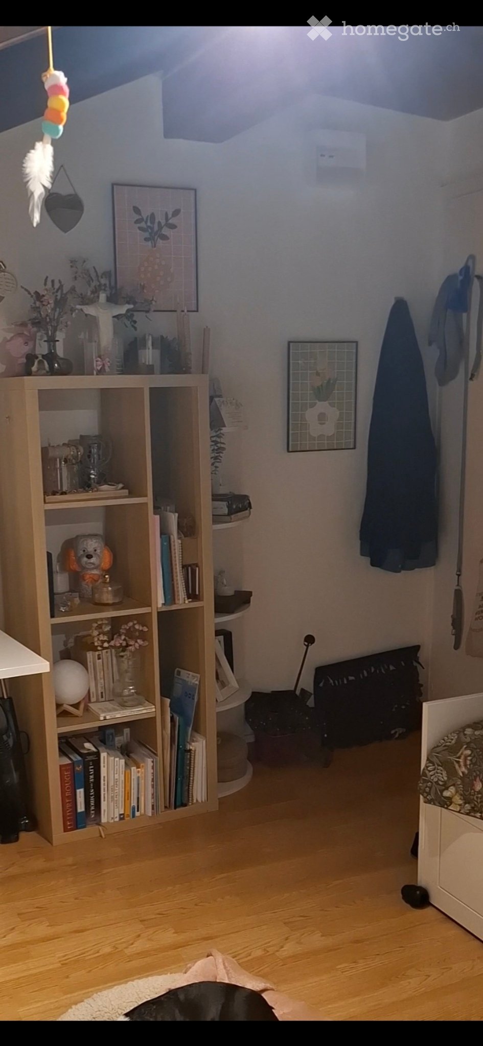 Appartement d'une pièce