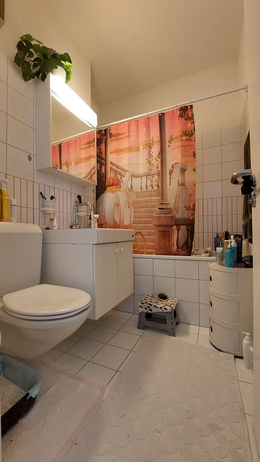 Appartement de 2 ½ pièces, photo 4 sur 5
