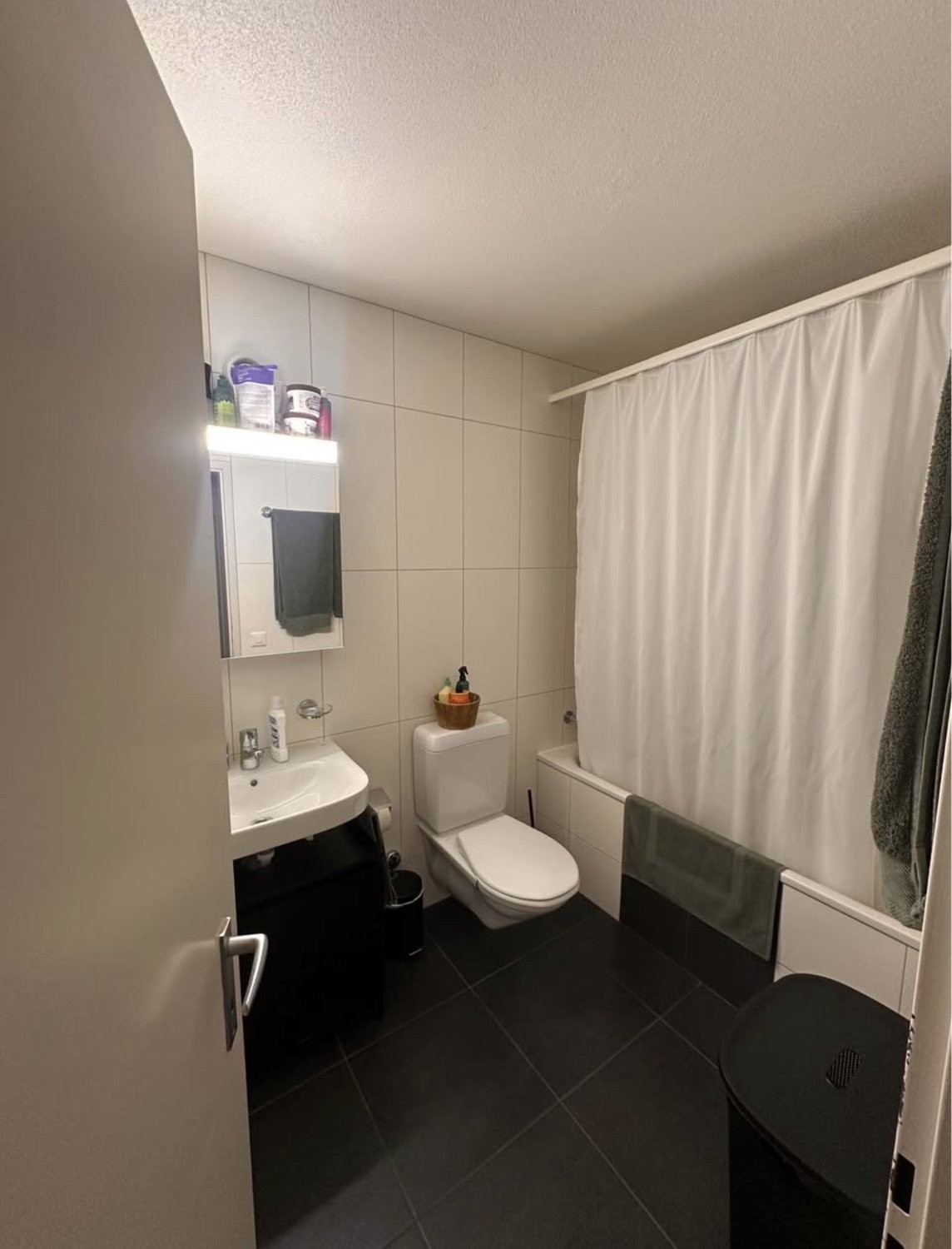 2 ½ rooms furnished flat, photo 5 sur 7
