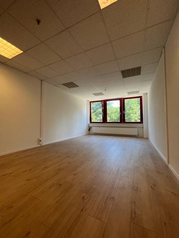 246m² office