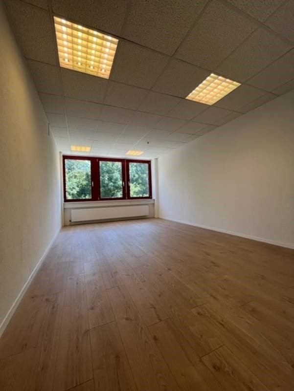 246m² office