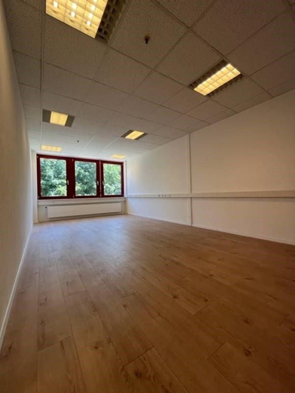 246m² office