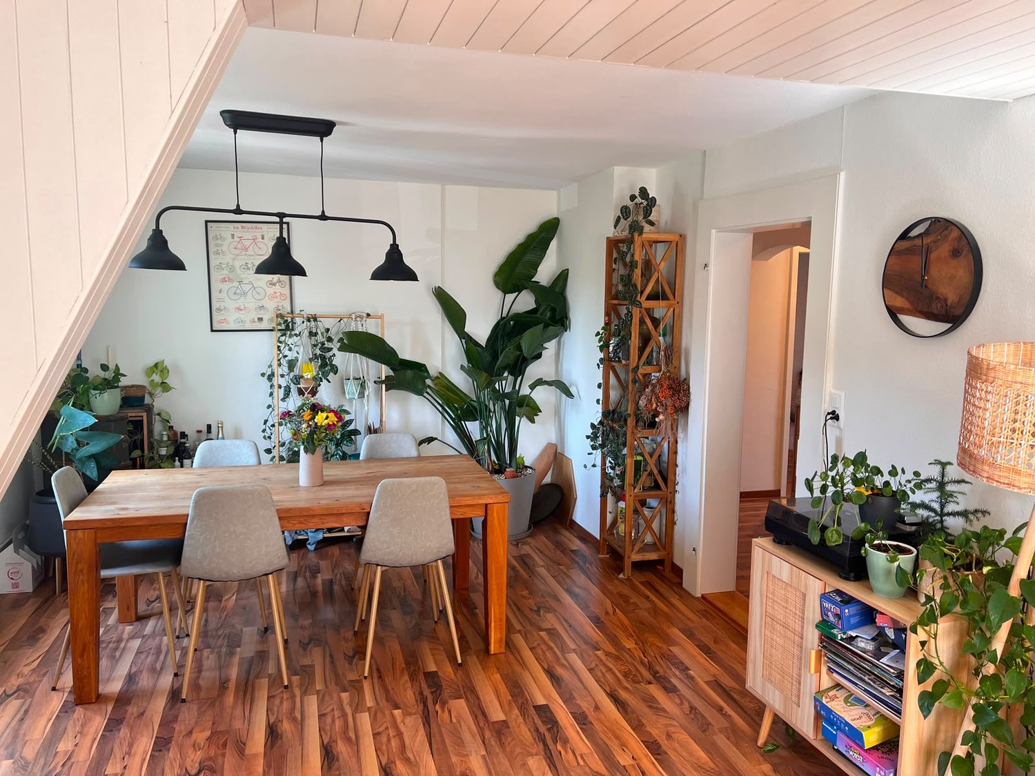 Room in a shared flat