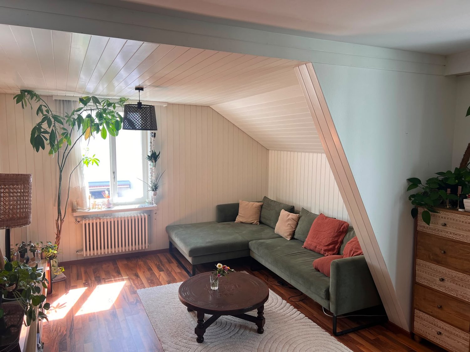 Room in a shared flat