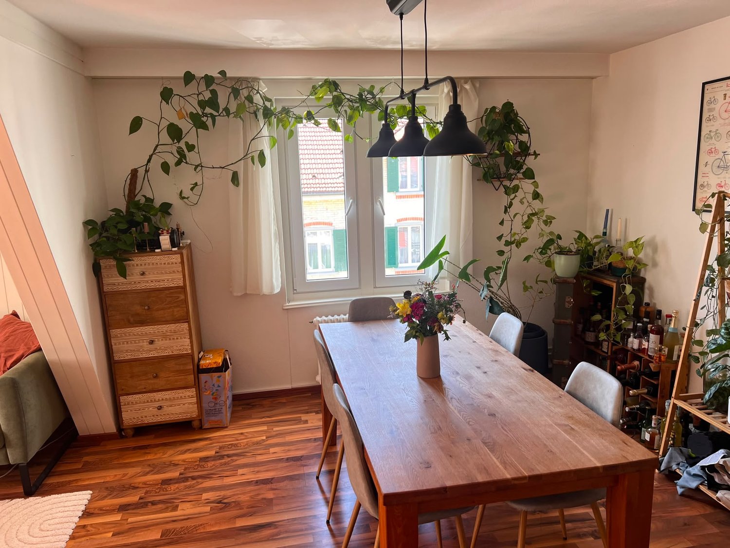 Room in a shared flat