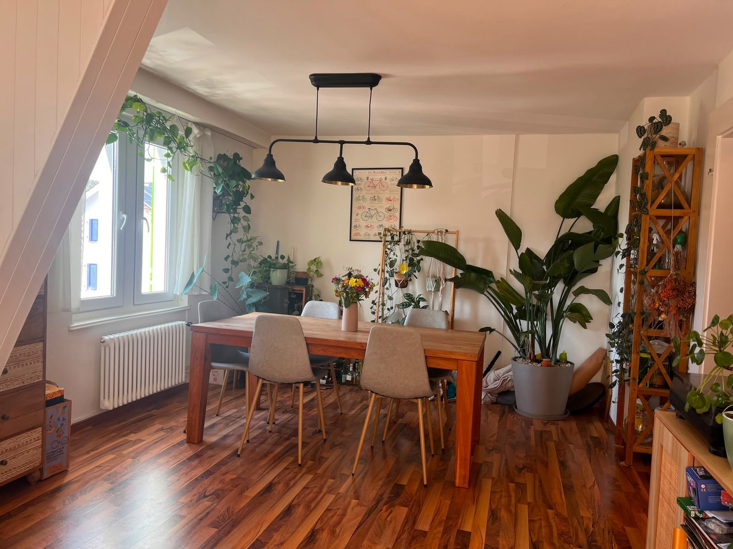 Room in a shared flat