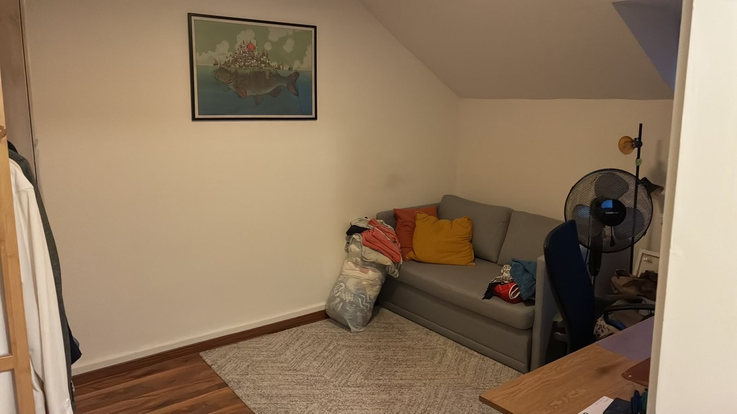Room in a shared flat