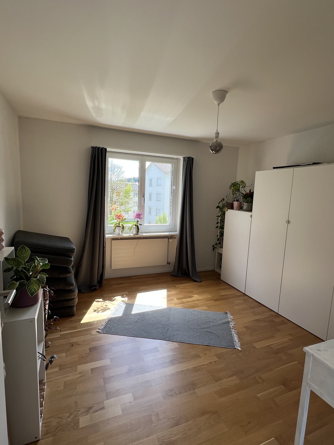 Room in a shared flat