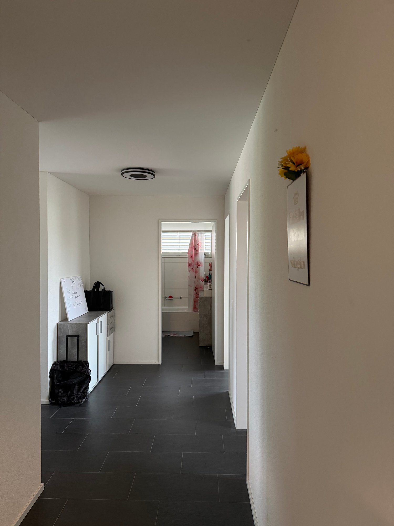 Appartement de 3 ½ pièces, photo 4 sur 9