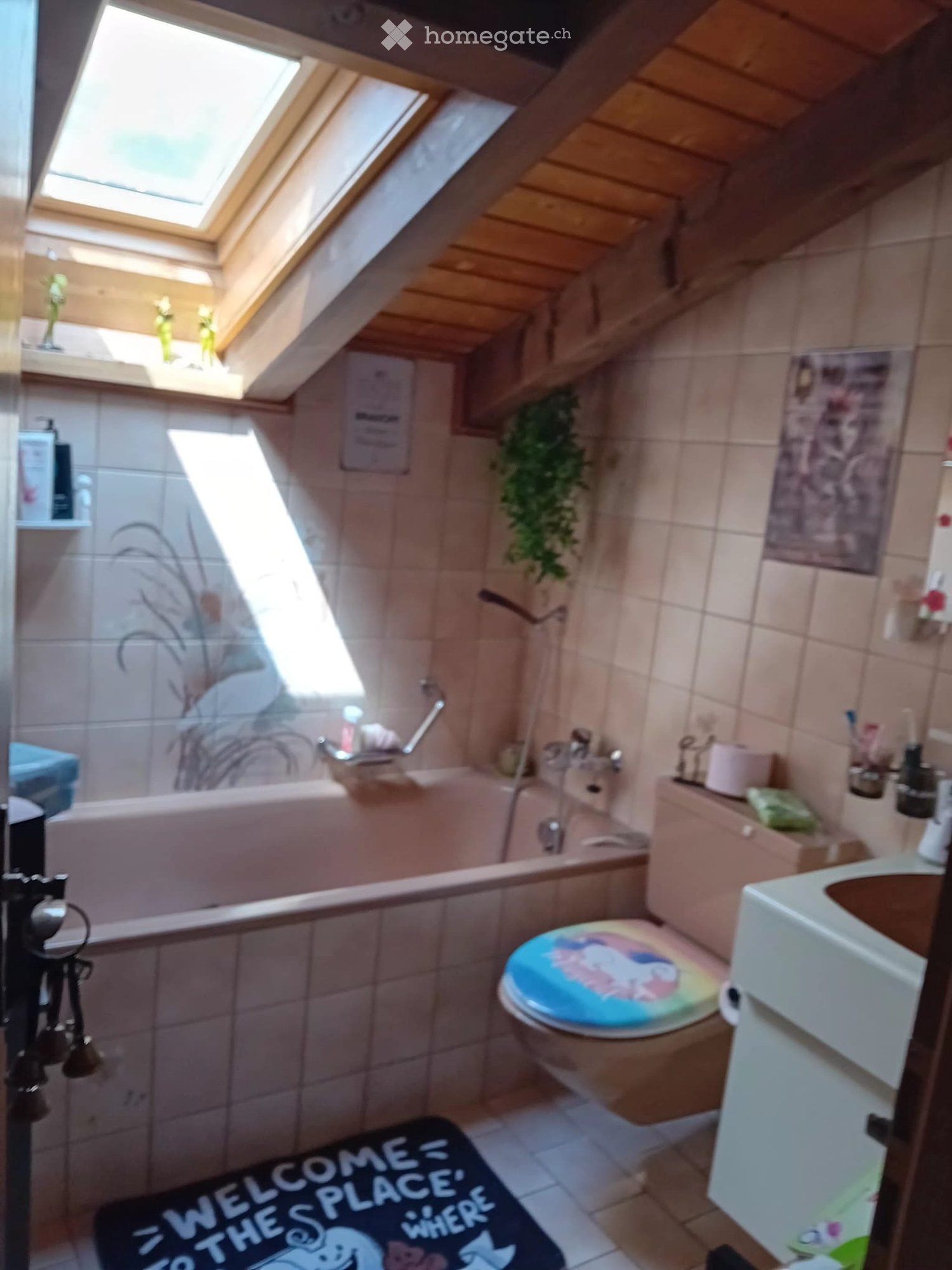 5 rooms apartment