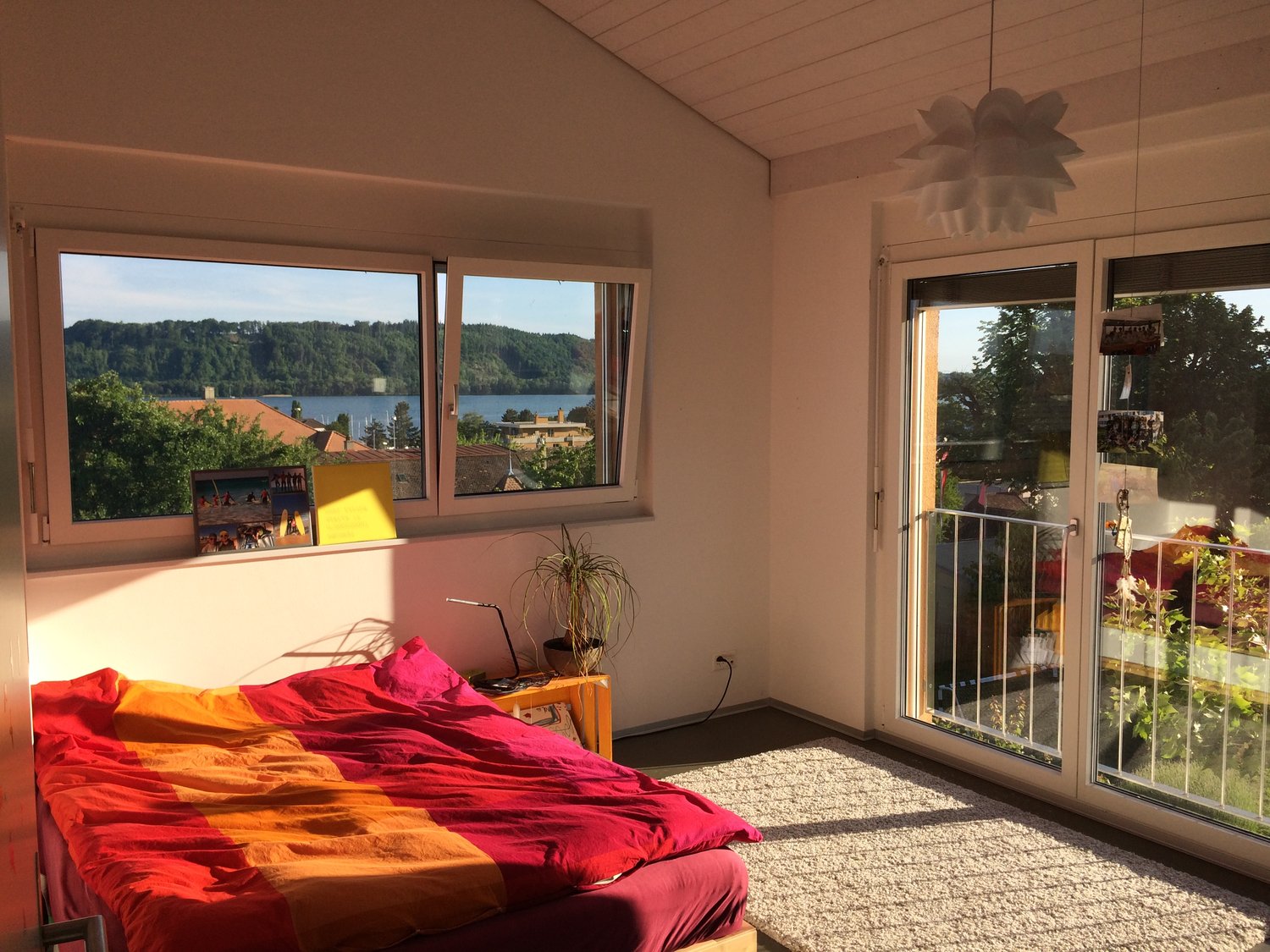 Room in a shared flat