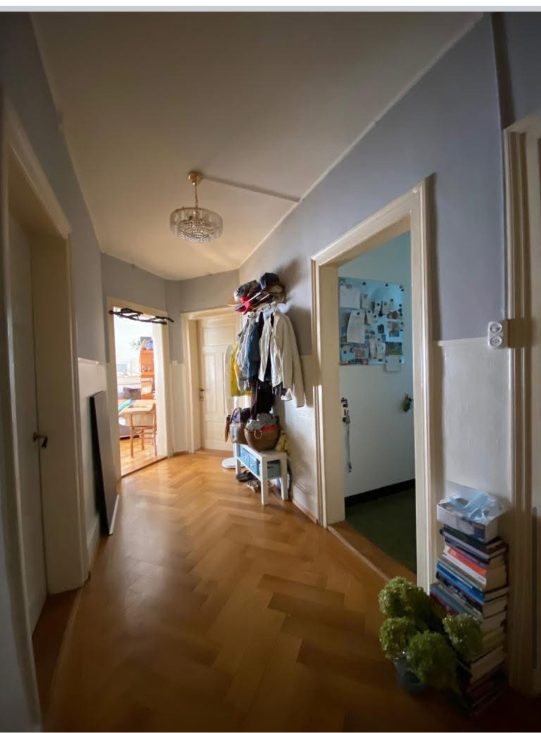 Room in a shared flat