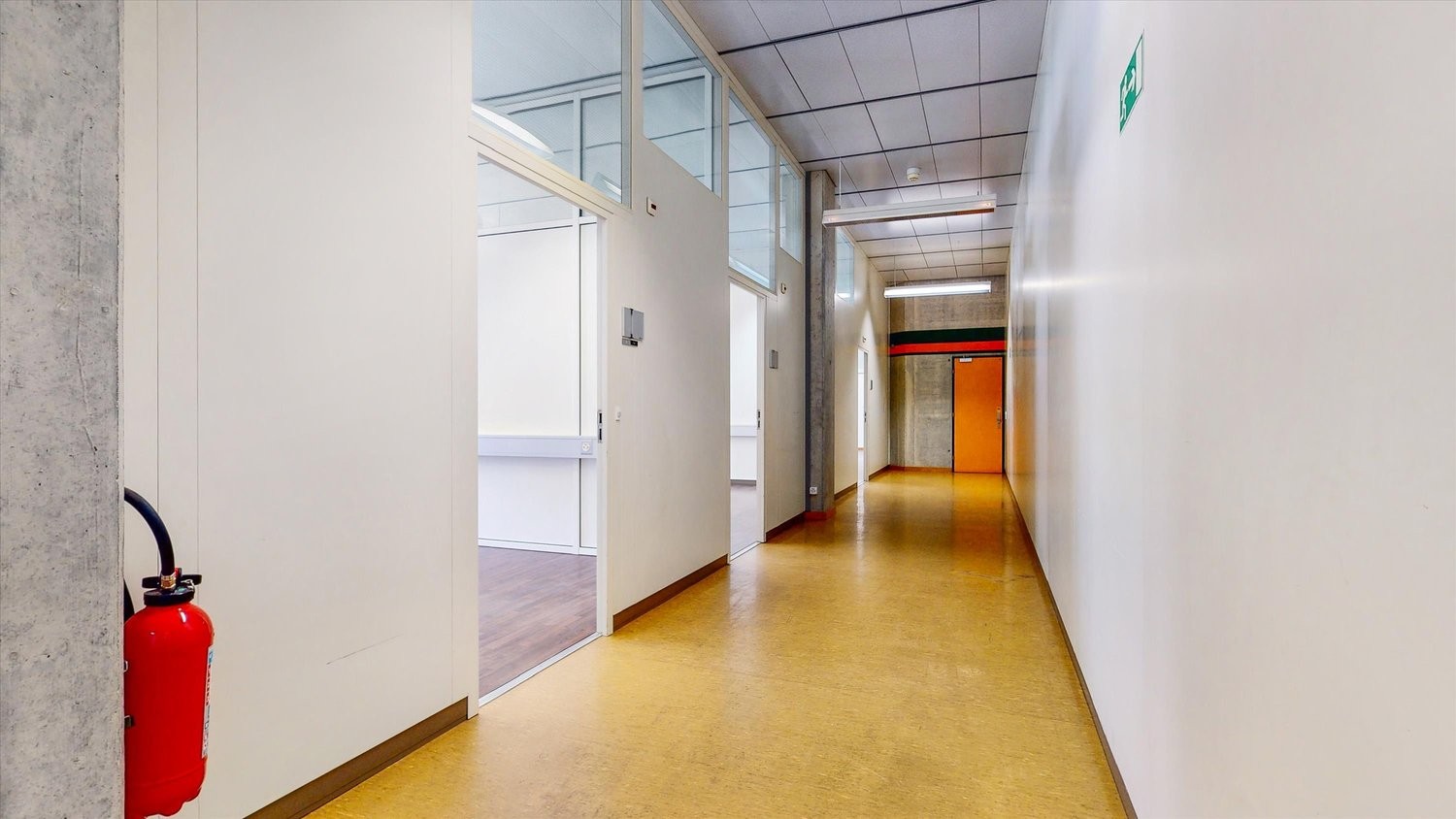 253m² bureau
