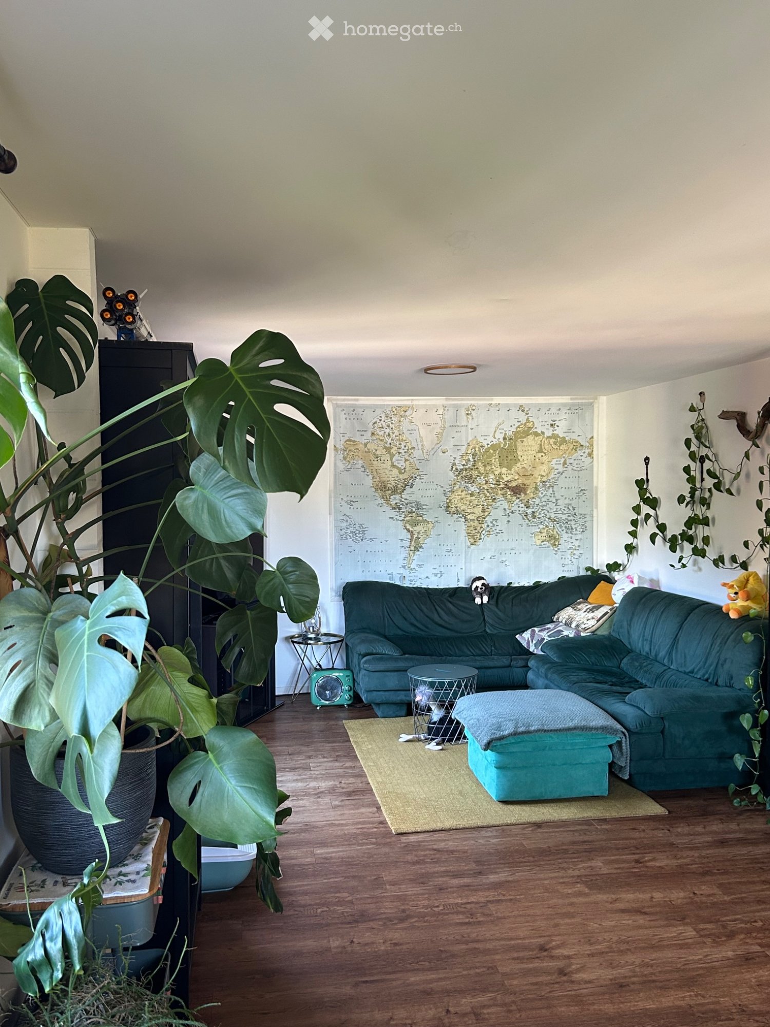 1 room single room, photo 3 sur 5