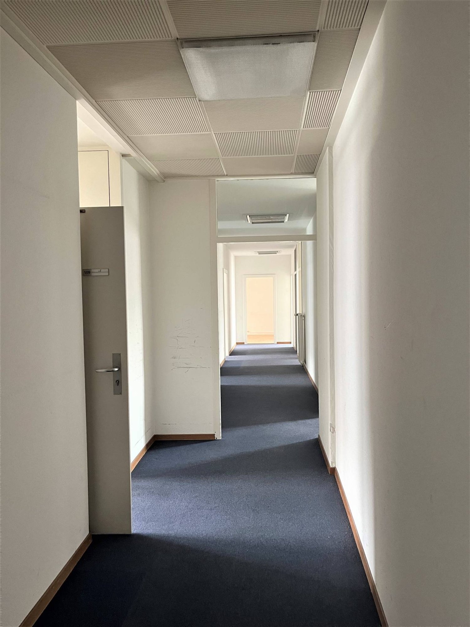 305m² office, photo 3 sur 7