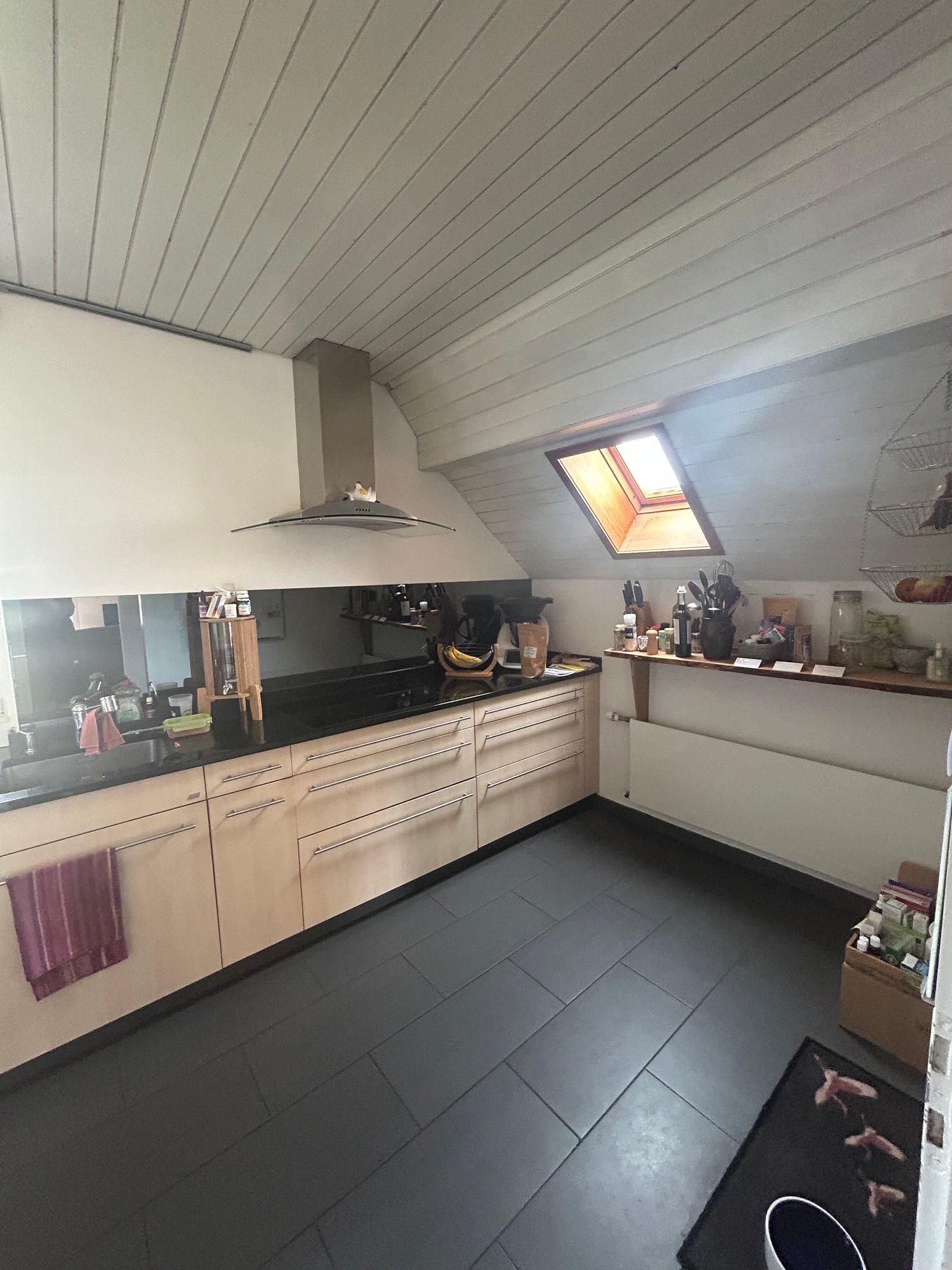 Duplex de 4 ½ pièces, photo 10 sur 10