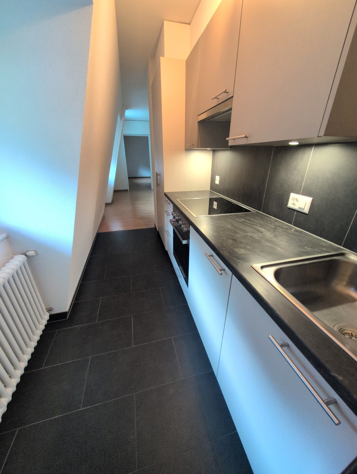 2 ½ rooms apartment, photo 4 sur 10