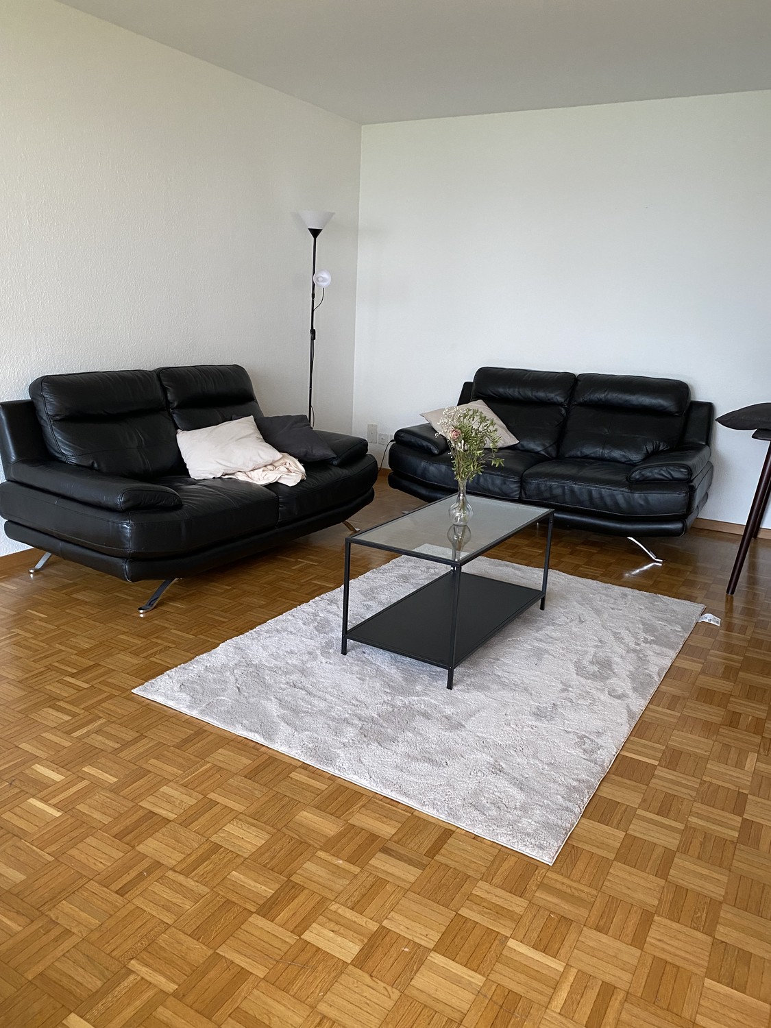 Chambre en colocation