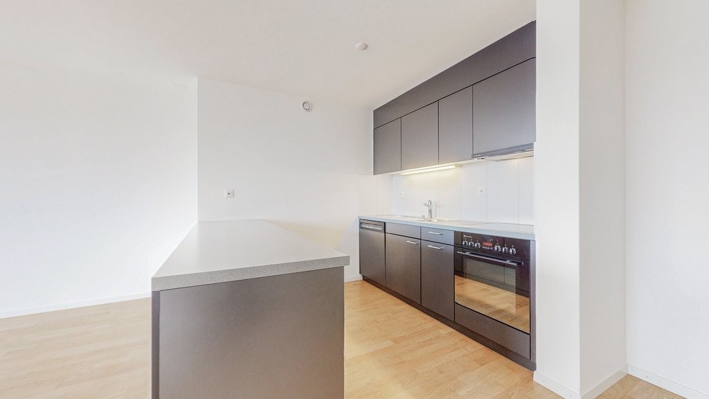 2 ½ rooms apartment, photo 4 sur 9