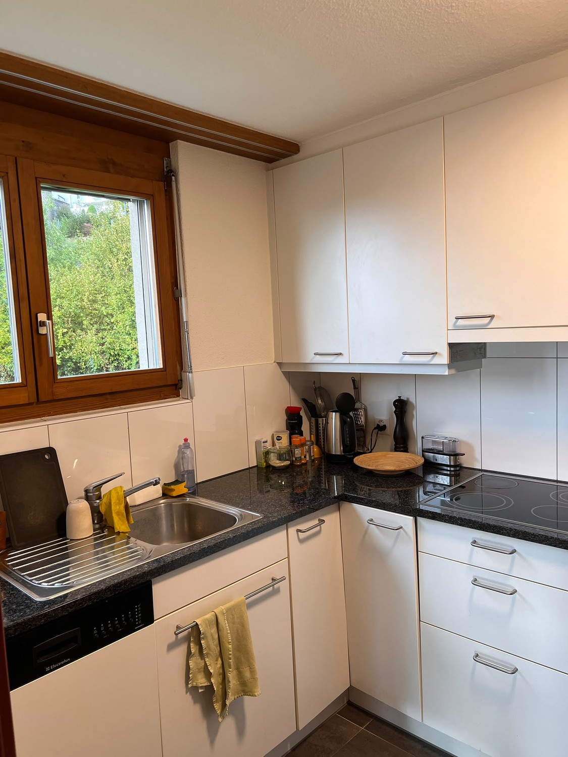 Appartement de 2 ½ pièces, photo 4 sur 6