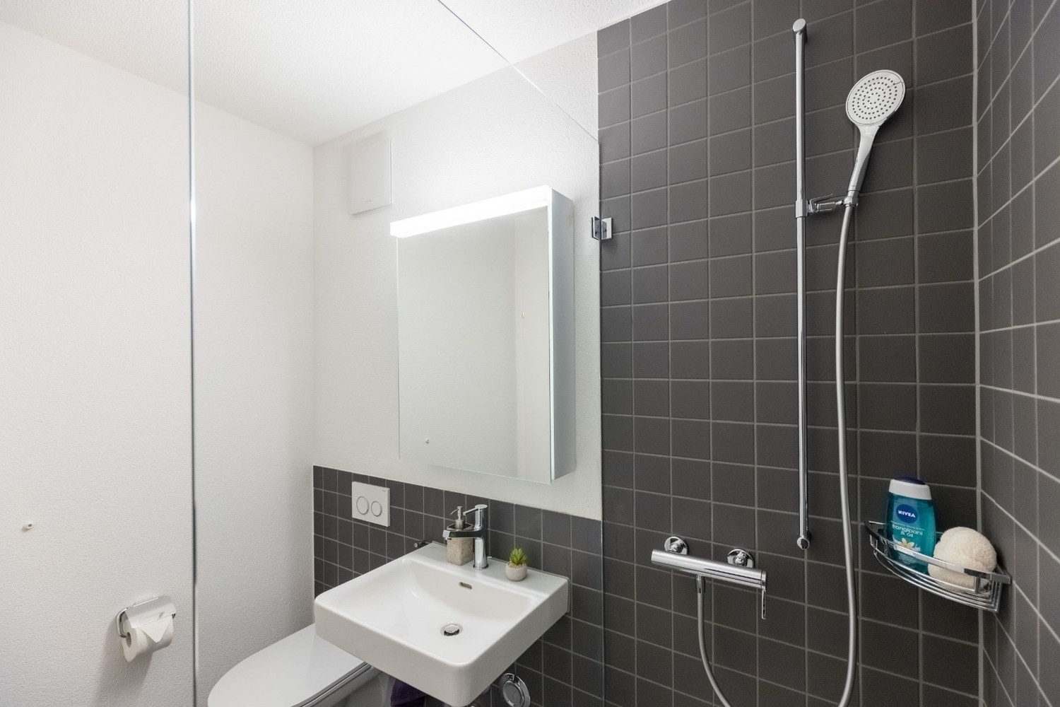 Appartement de 1 ½ pièces, photo 7 sur 8
