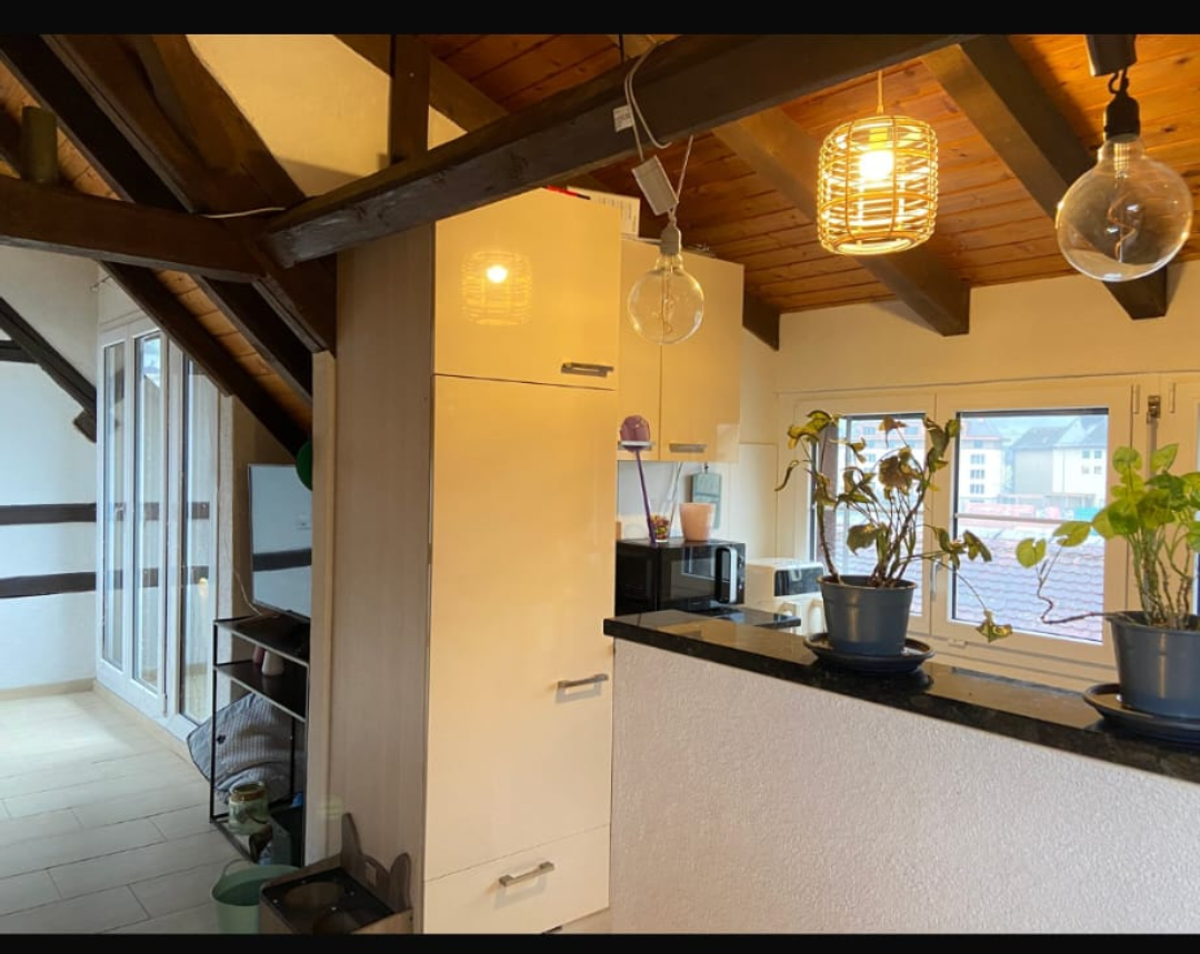 Appartement de 3 ½ pièces, photo 4 sur 8