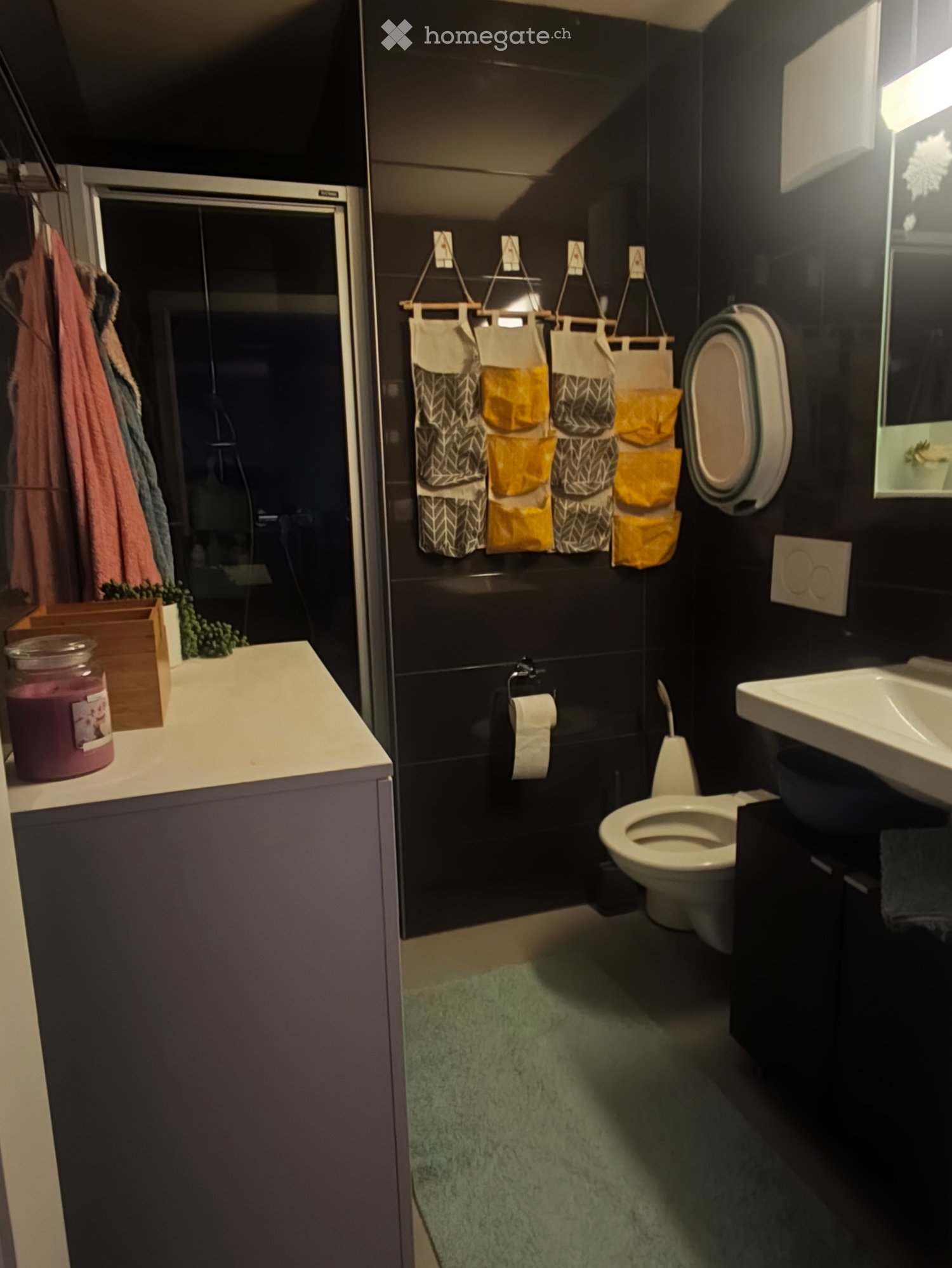 2 ½ rooms apartment, photo 5 sur 5