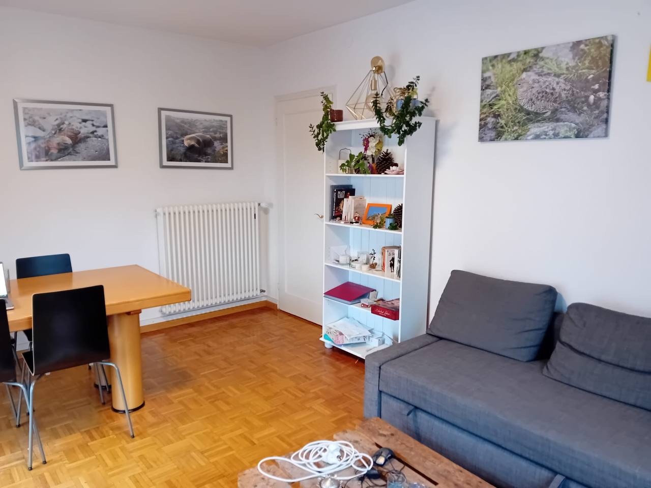 Chambre en colocation, photo 3 sur 6
