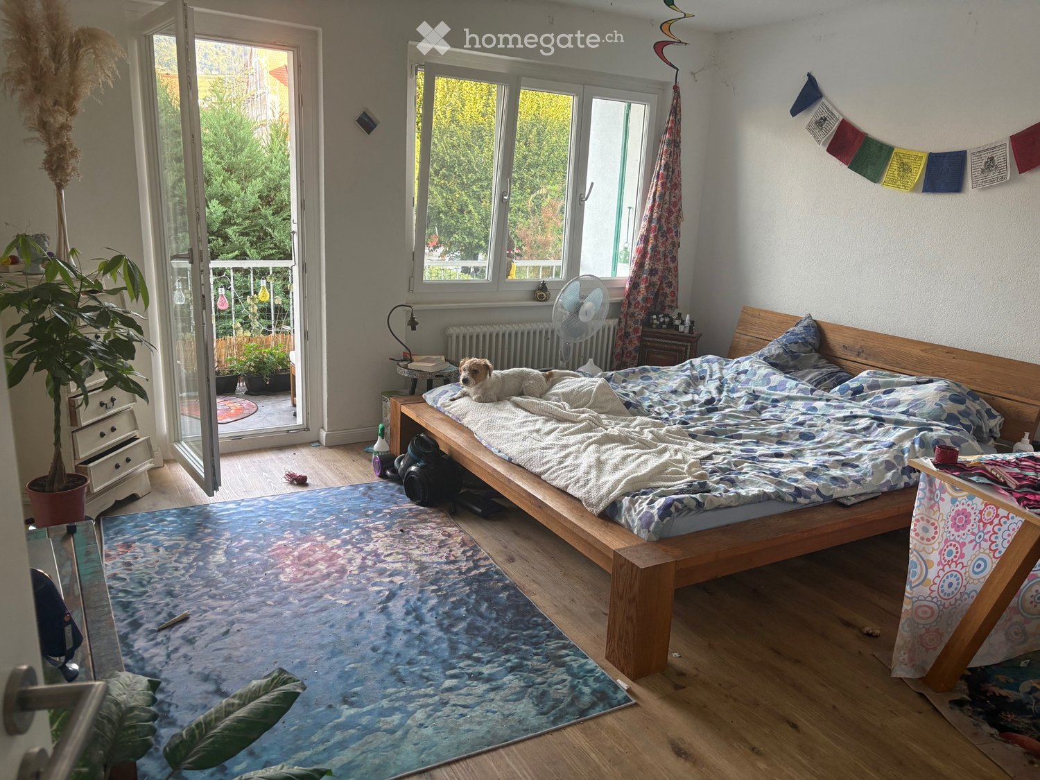 1 room apartment, photo 1 sur 4