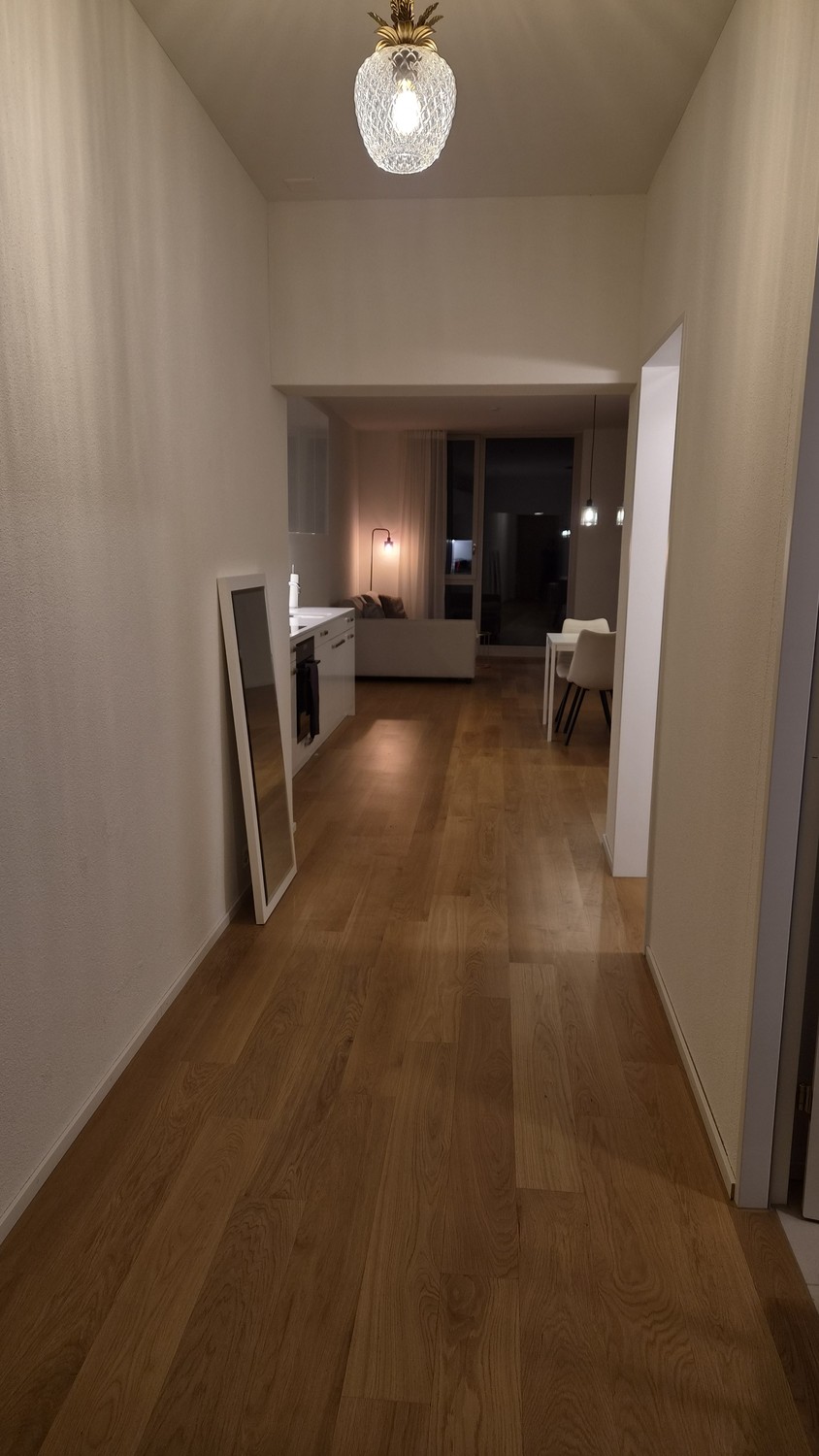 Appartement de 2 ½ pièces, photo 1 sur 6