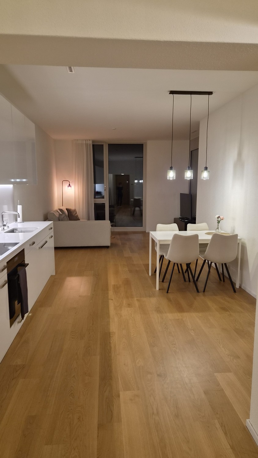 Appartement de 2 ½ pièces, photo 2 sur 6