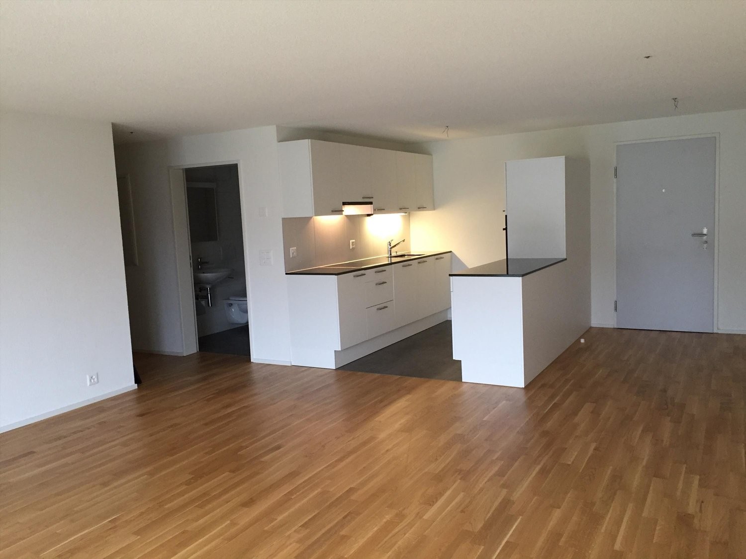 Appartement de 3 ½ pièces