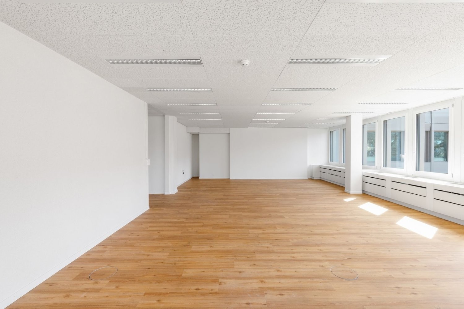 364m² de bureaux