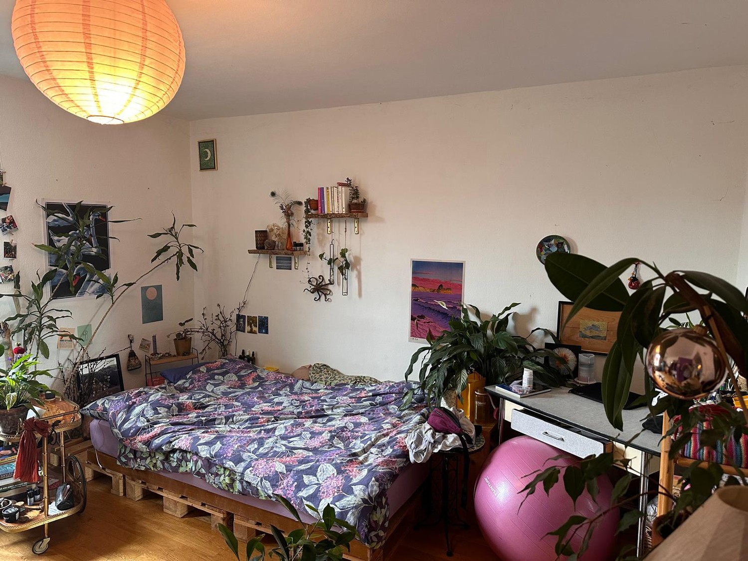 Chambre en colocation, photo 3 sur 10