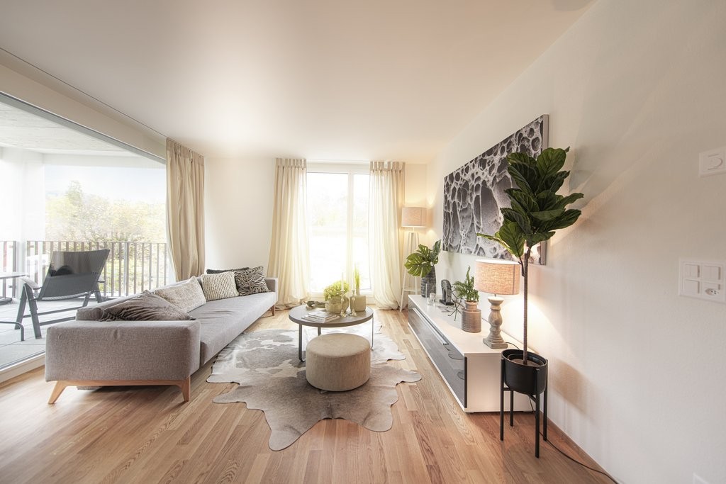 Appartement de 3 ½ pièces