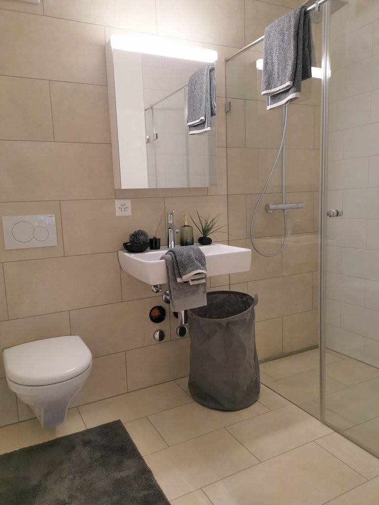 Appartement de 3 ½ pièces