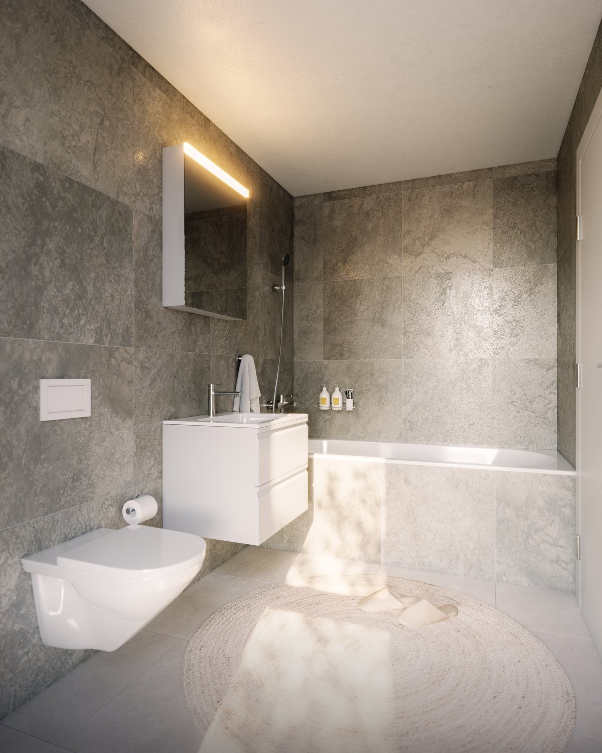 Appartement de 3 ½ pièces