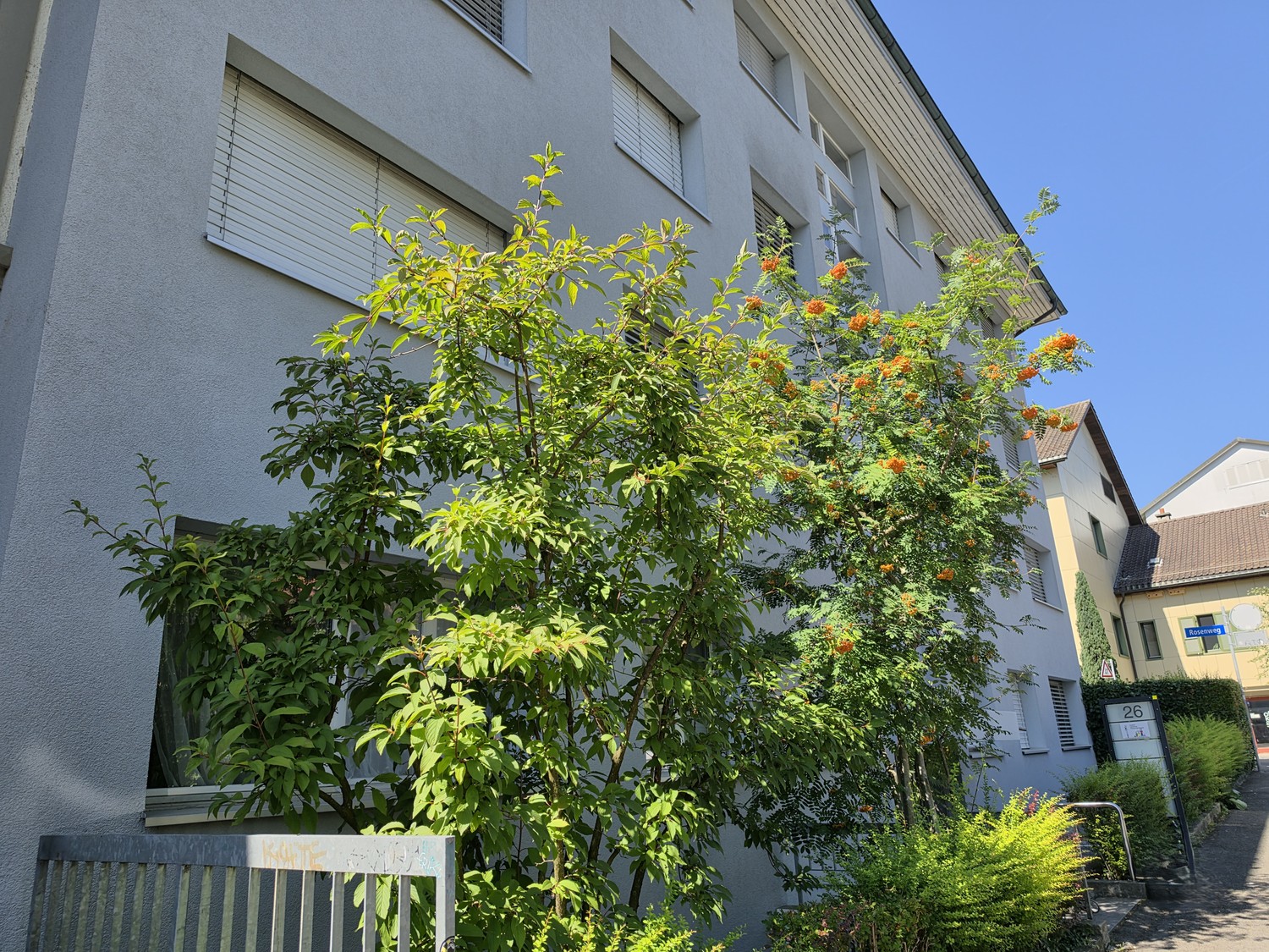 Appartement de 4 ½ pièces, photo 1 sur 10