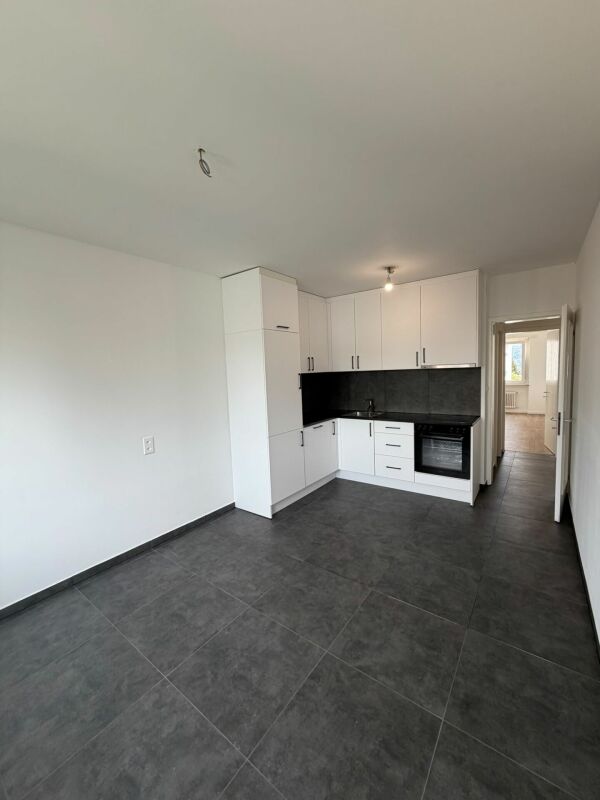Appartement de 3 ½ pièces, photo 4 sur 10